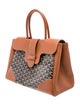 Goyard Goyardine Saigon MM 2024