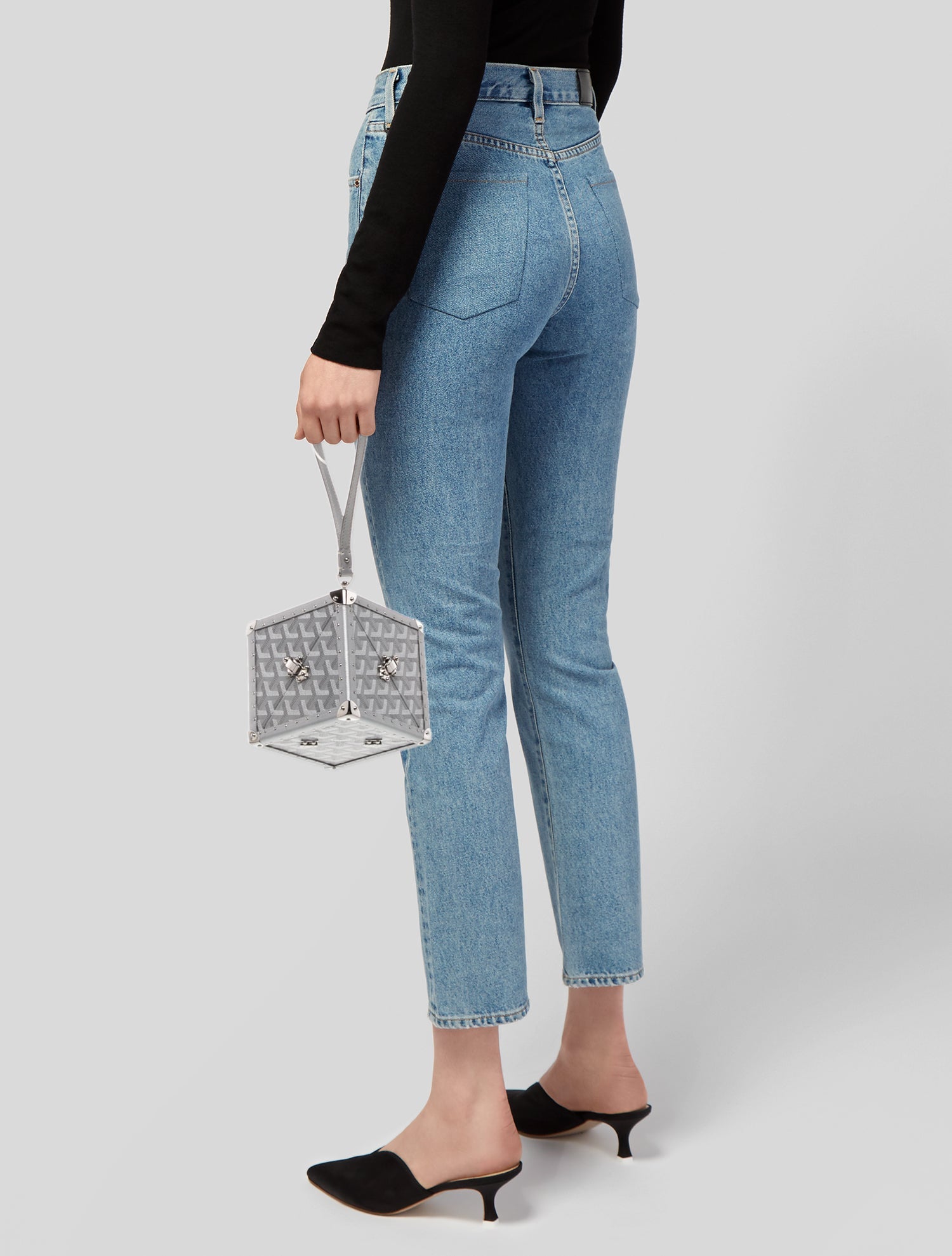 Goyard Goyardine Dé Trunk 2023