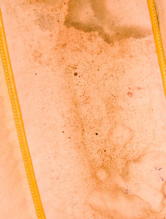 Goyard Goyardine St.Louis PM