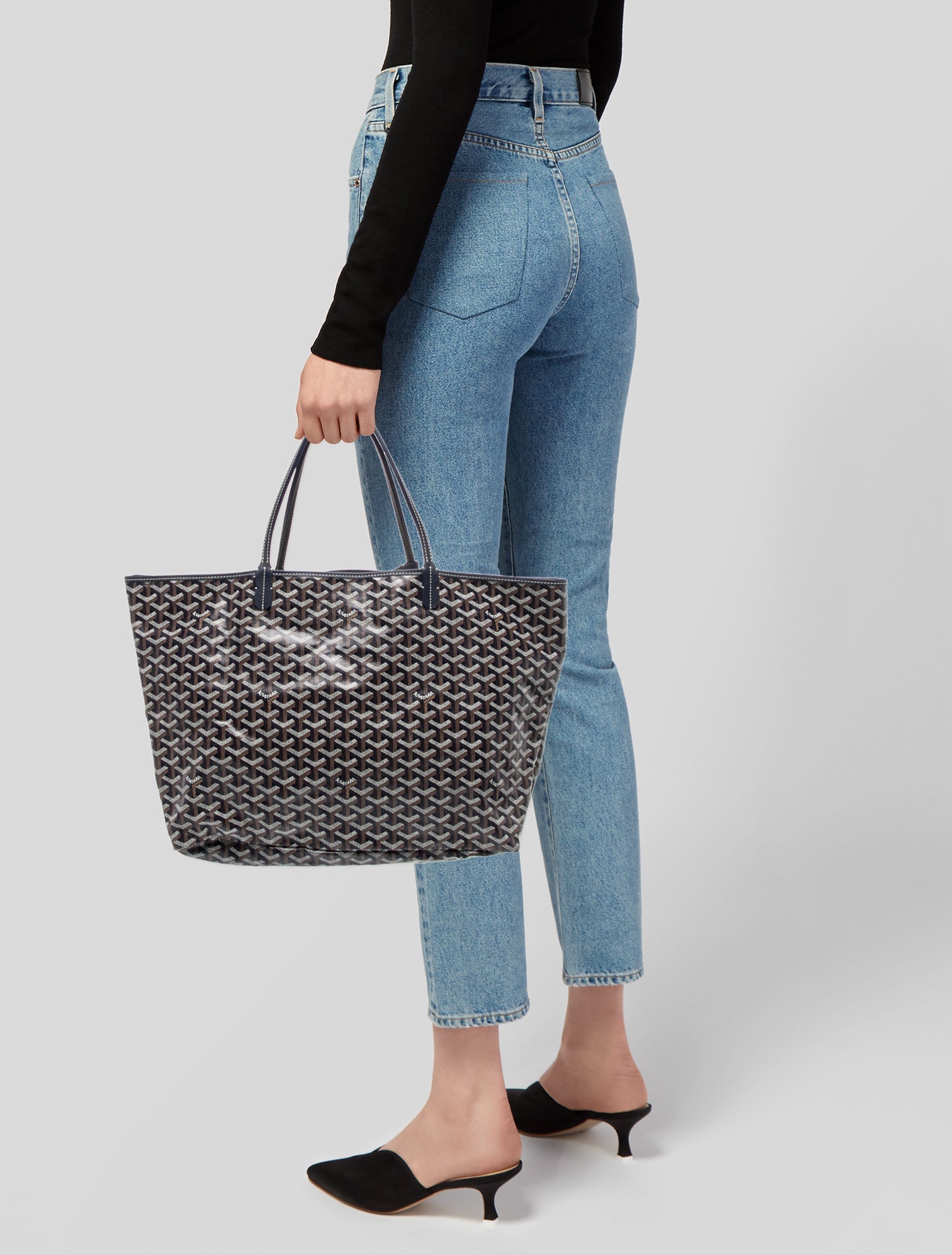 Goyard Goyardine St.Louis PM