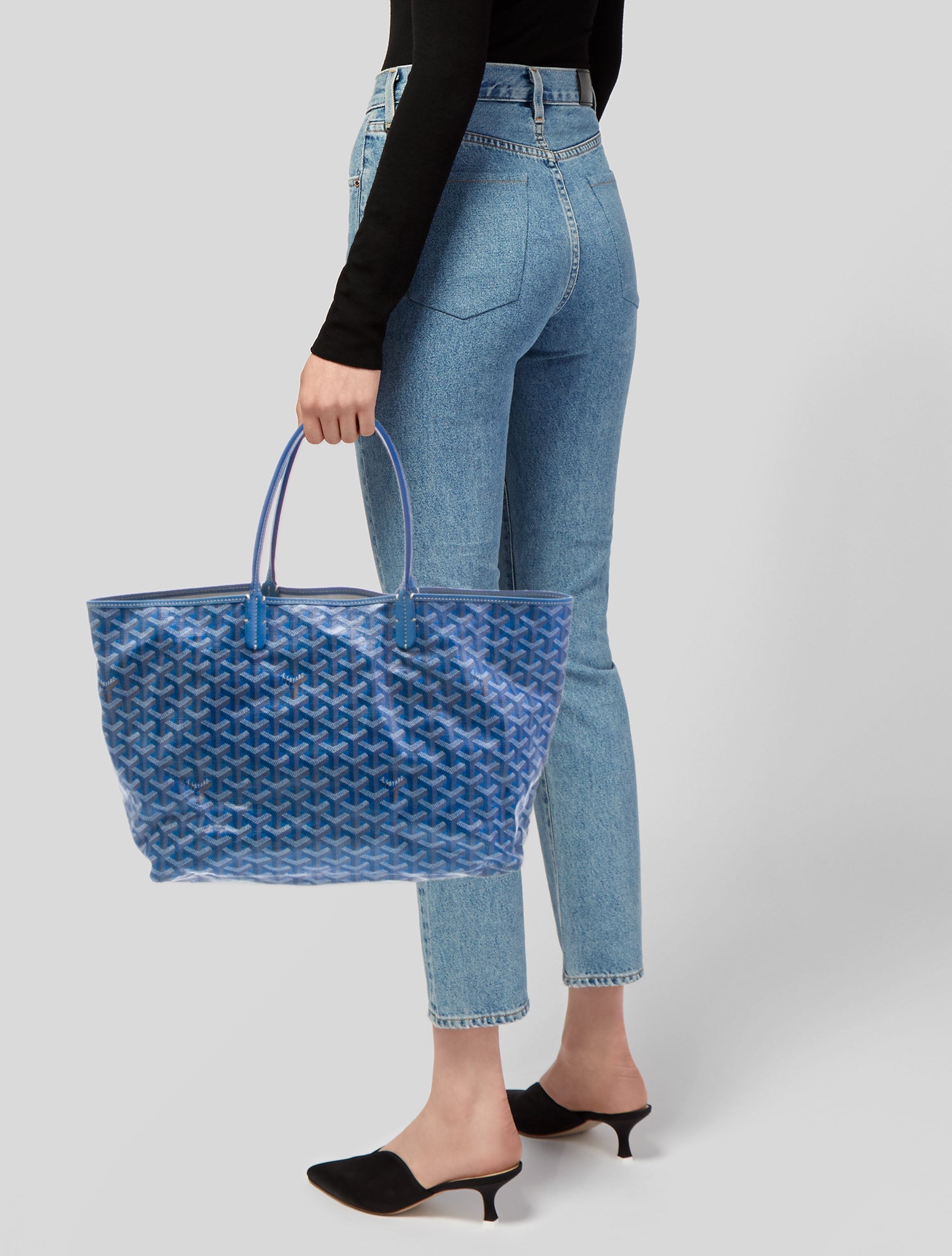 Goyard Goyardine St.Louis PM