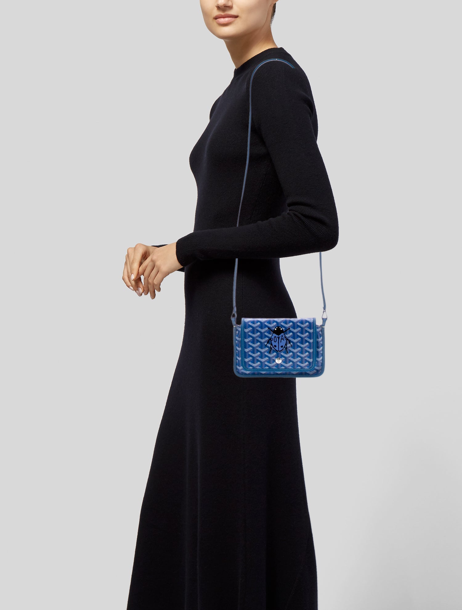 Goyard Goyardine Plumet 2025