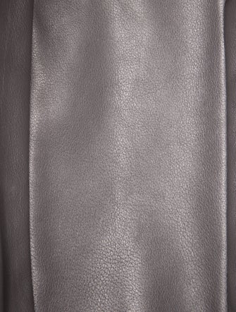 Goyard Goyardine Anjou Mini