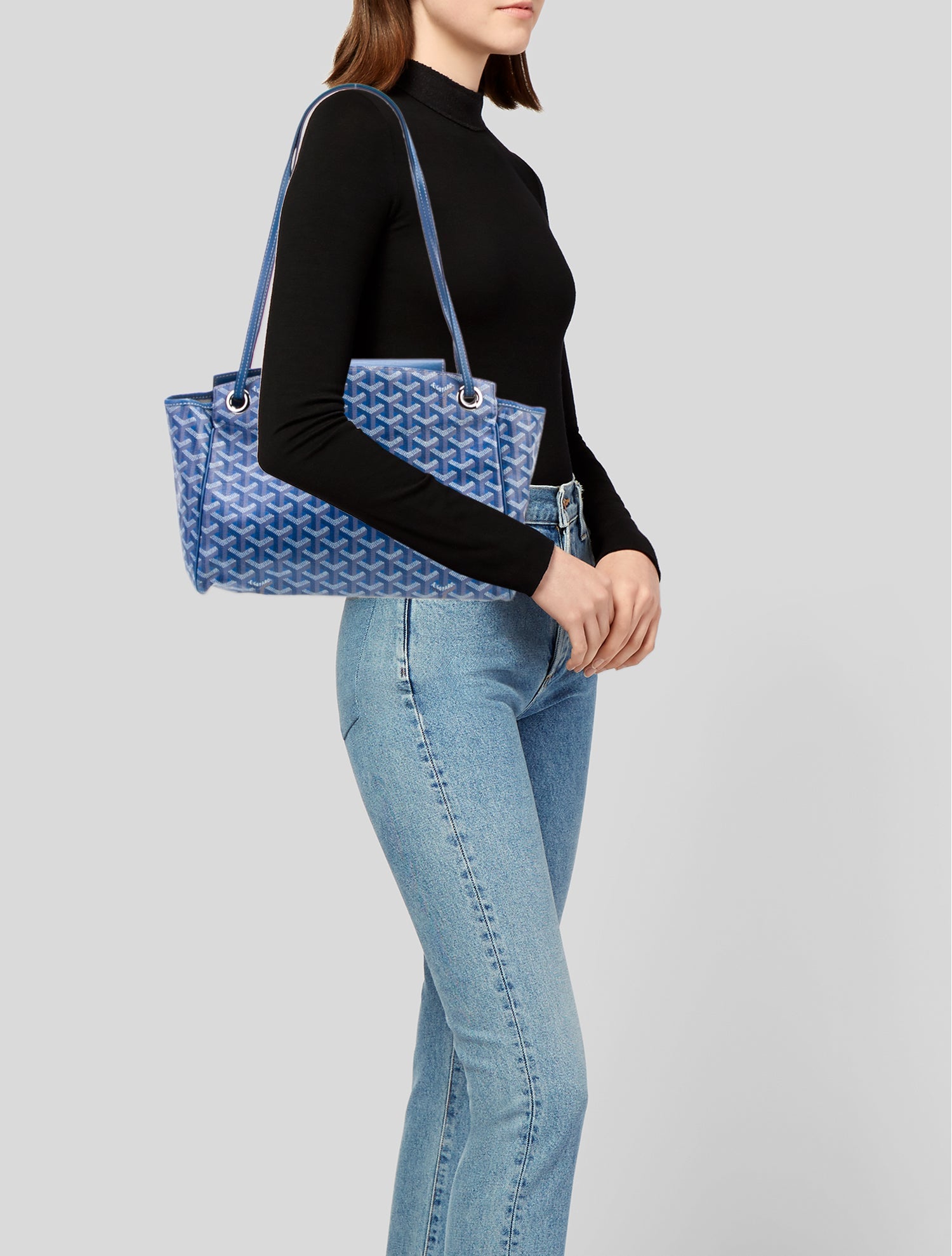 Goyard Goyardine Sac Rouette PM