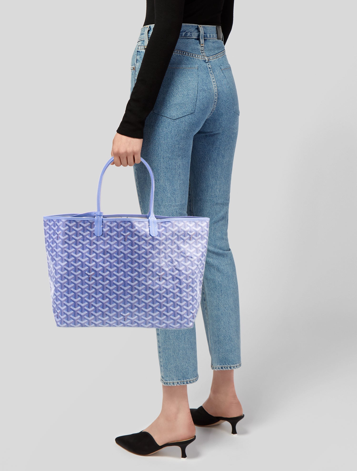 Goyard Goyardine Le Jardin St. Louis PM