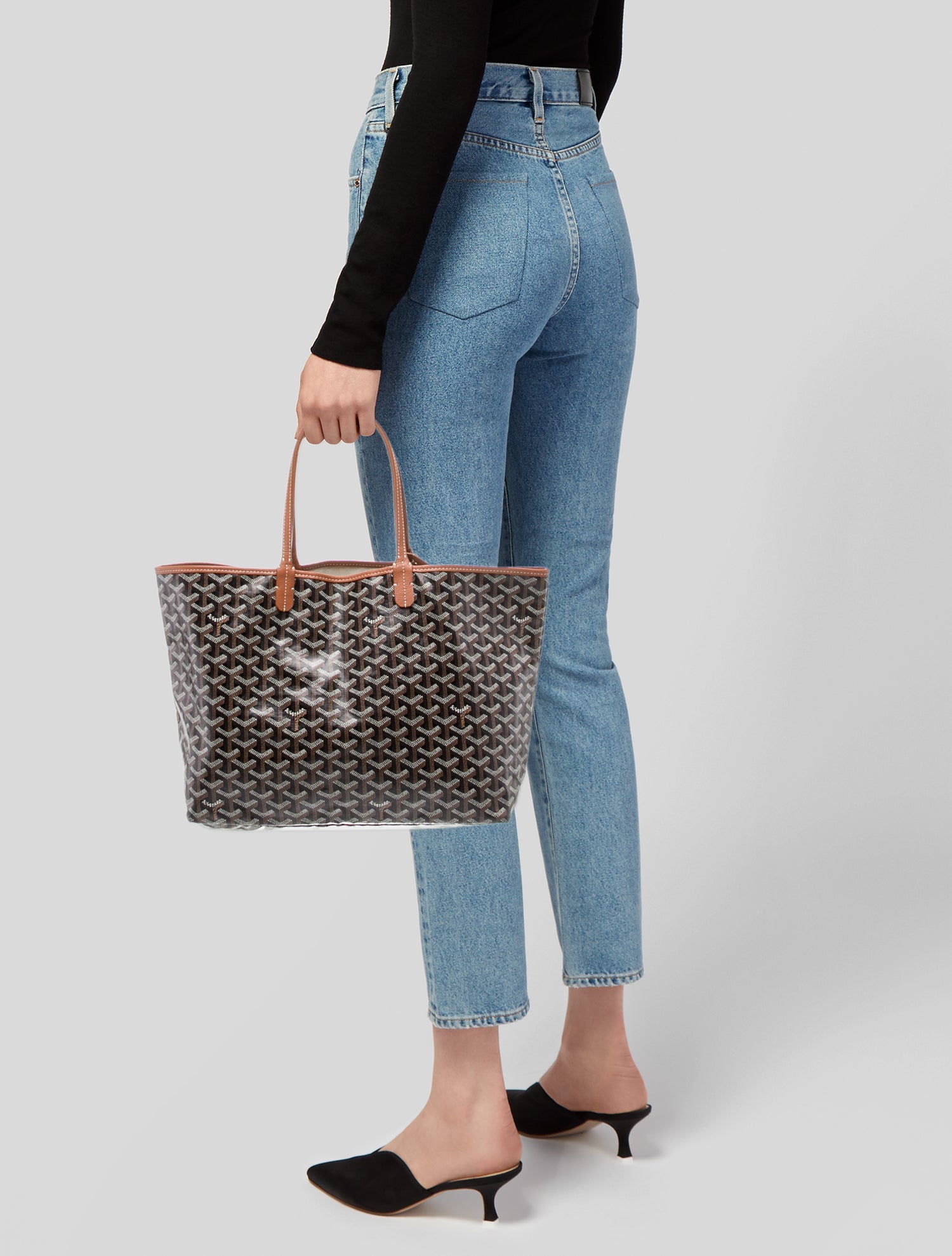 Goyard Goyardine St. Louis PM 2023