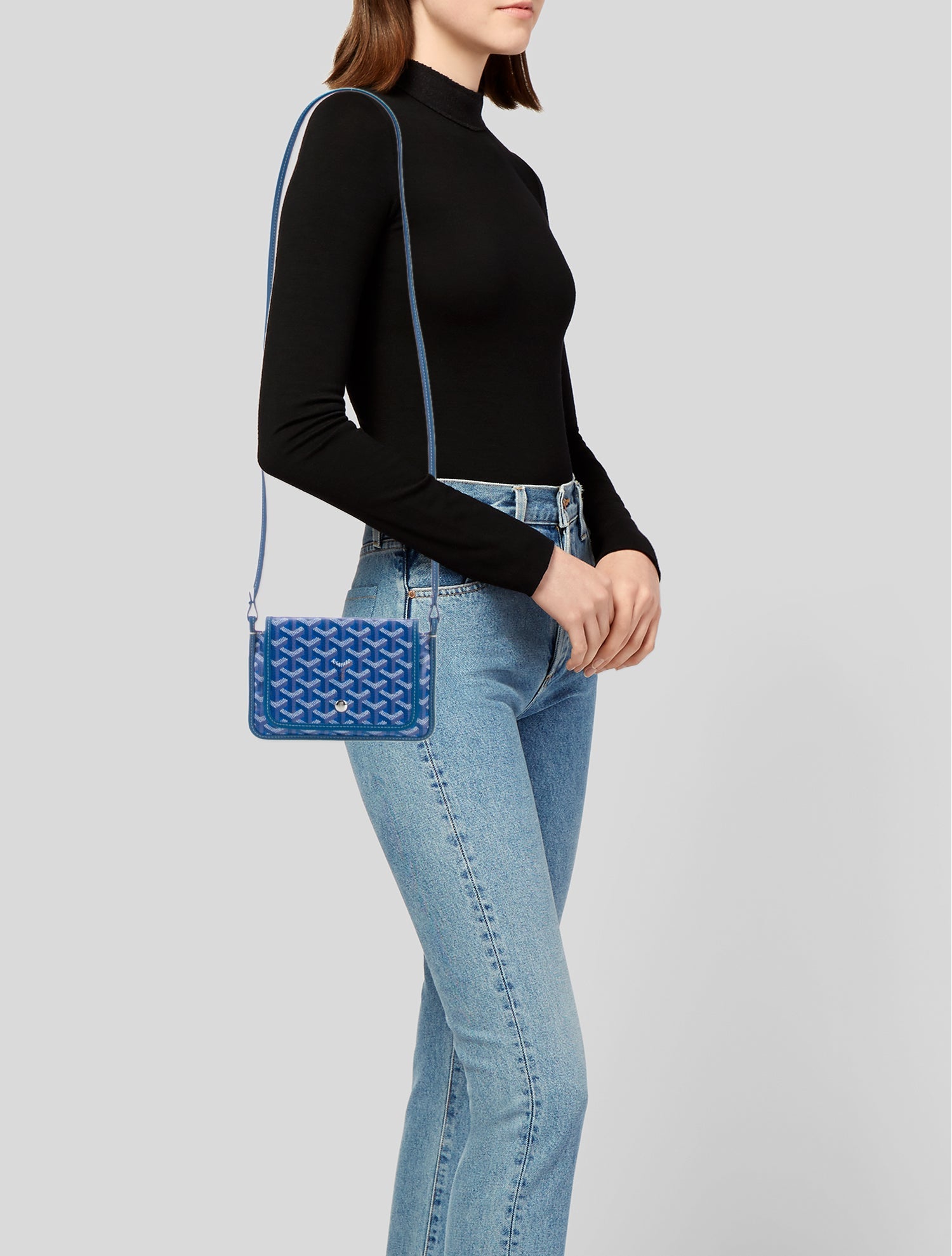 Goyard Goyardine Plumet