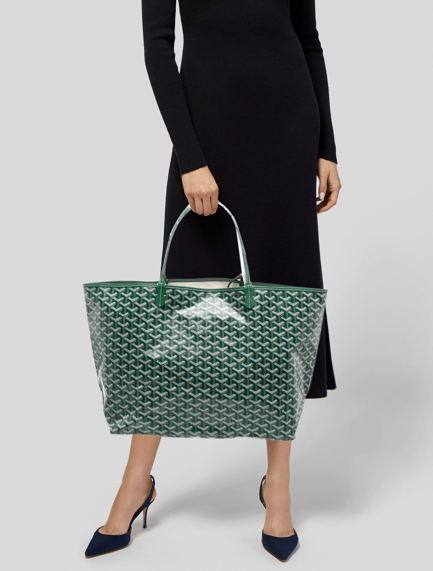 Goyard Goyardine St.Louis PM 2024