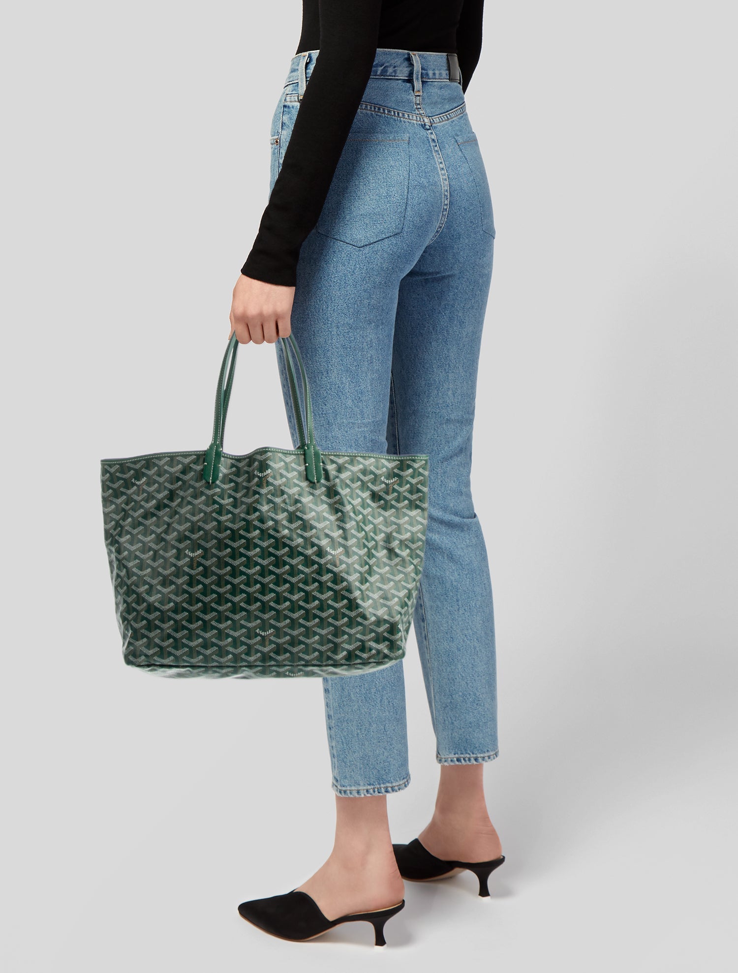Goyard Goyardine St.Louis PM