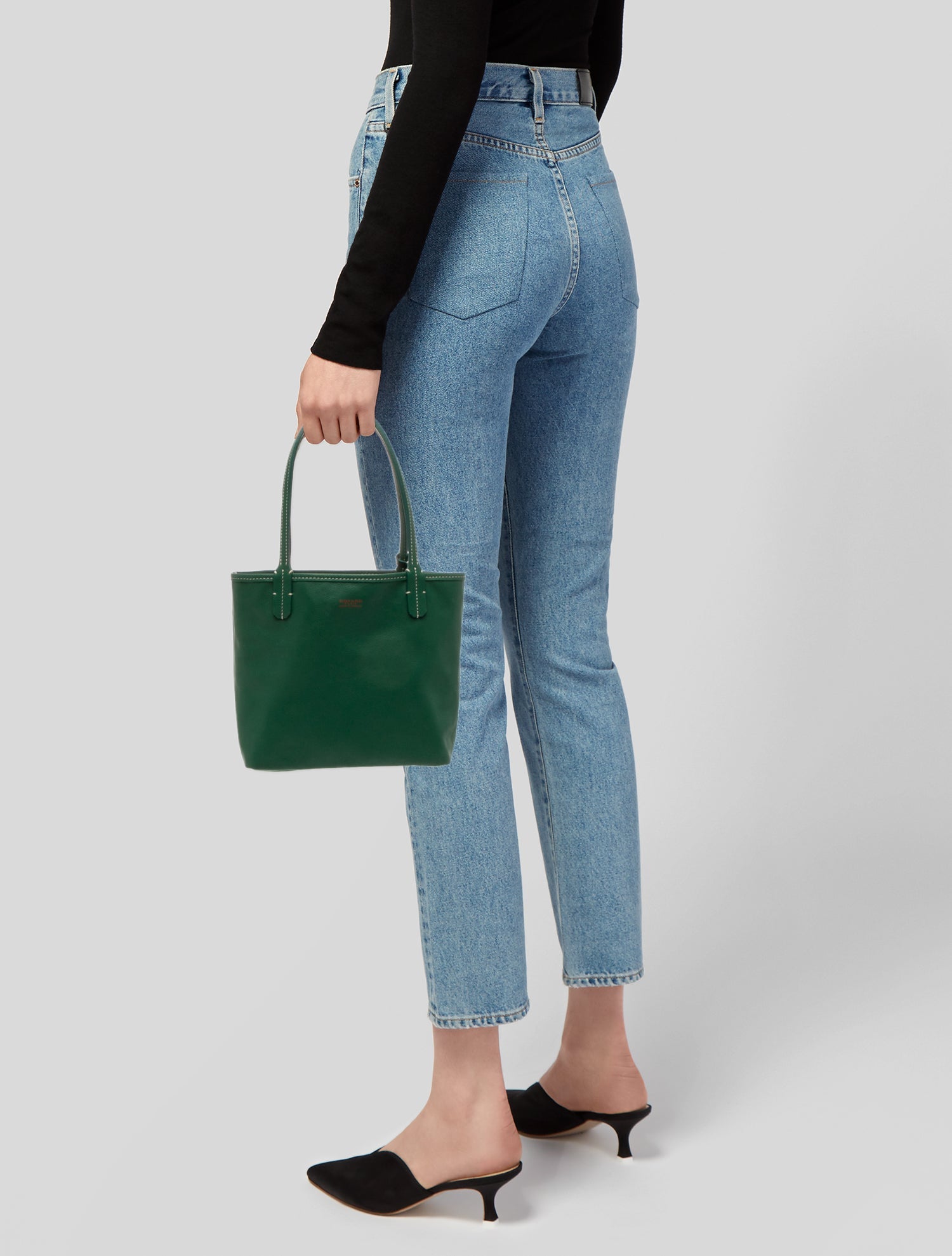 Goyard Goyardine Anjou Mini 2024