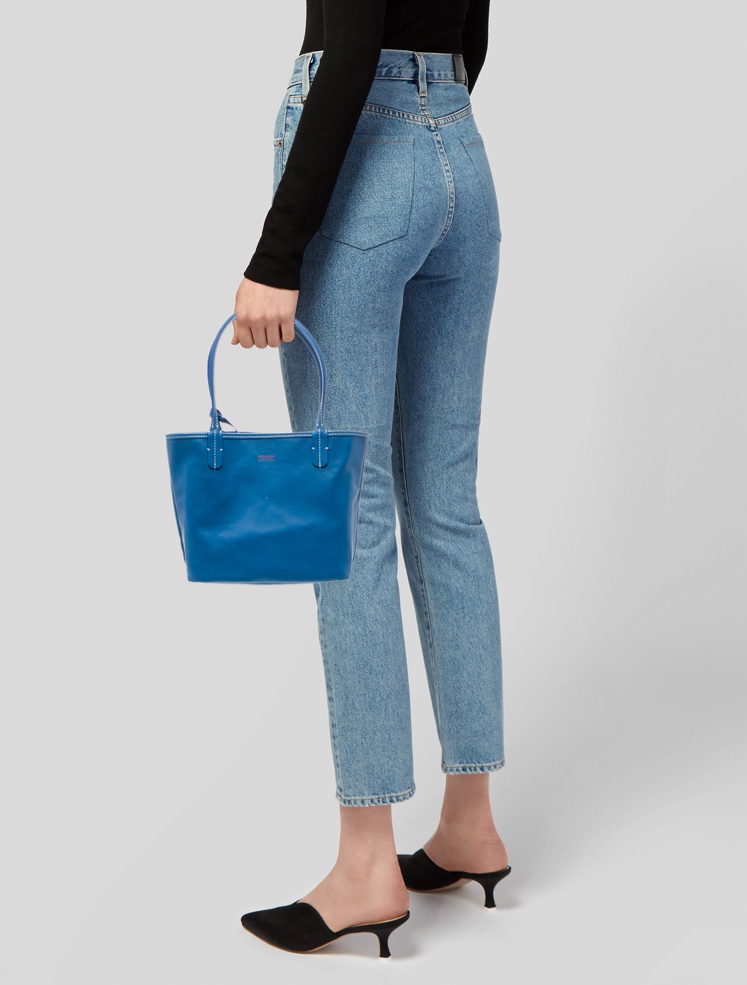 Goyard Goyardine Anjou Mini 2024