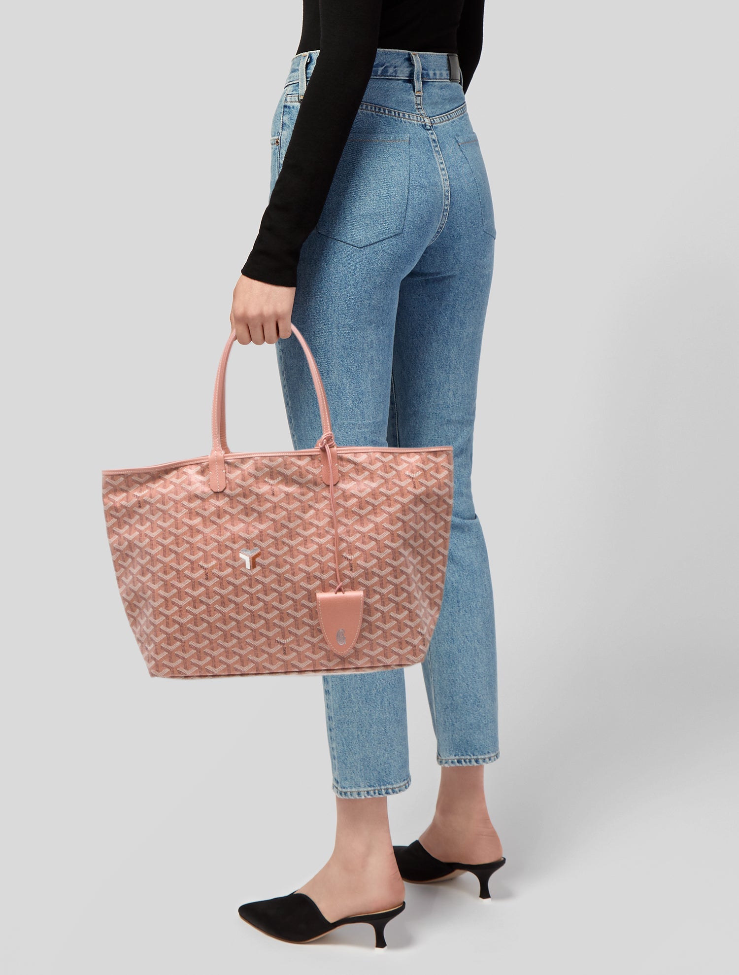 Goyard Goyardine Pearly St. Louis PM 2024