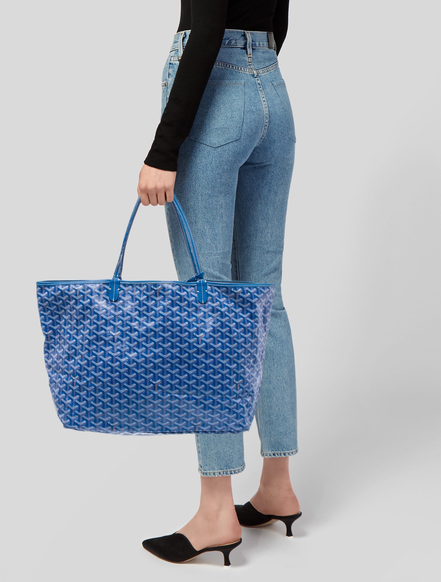 Goyard Goyardine St.Louis GM