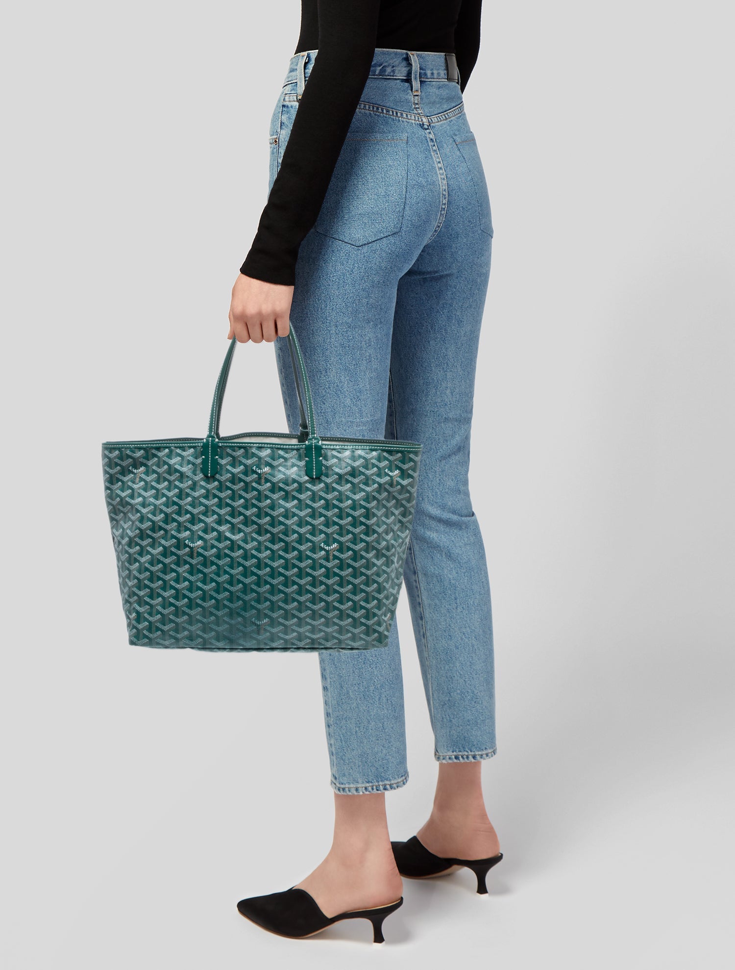 Goyard Goyardine St.Louis PM