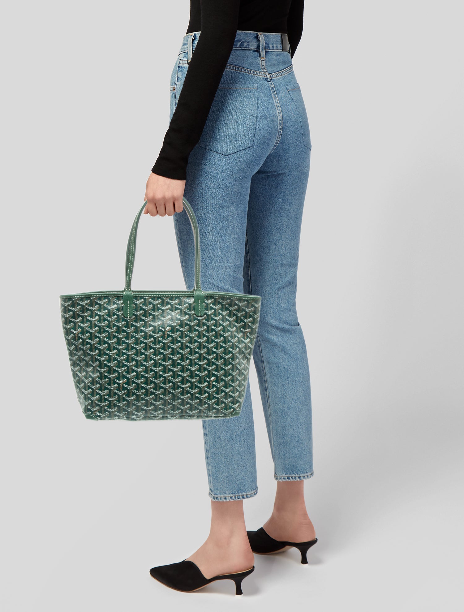 Goyard Goyardine Anjou PM