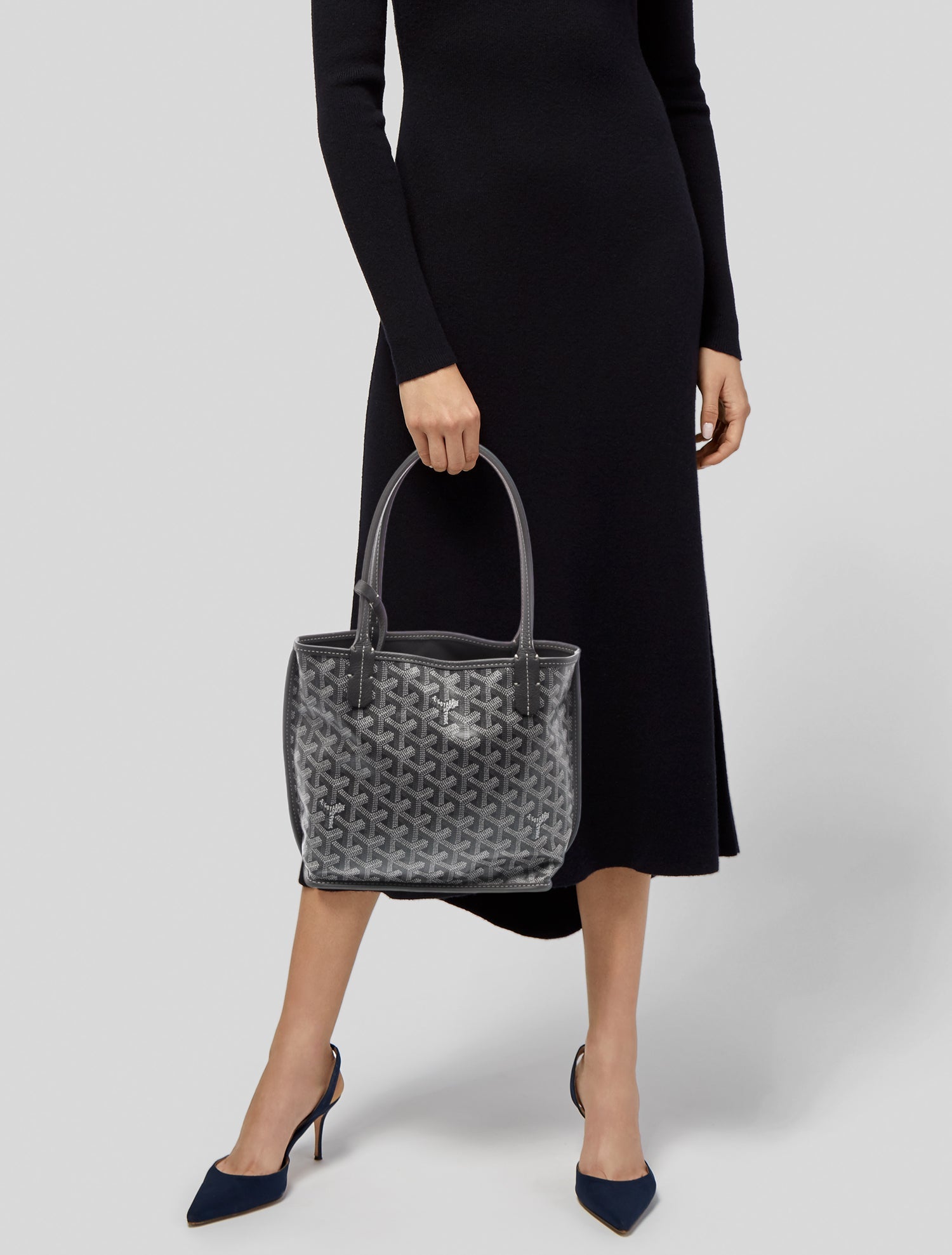 Goyard Goyardine Anjou Mini