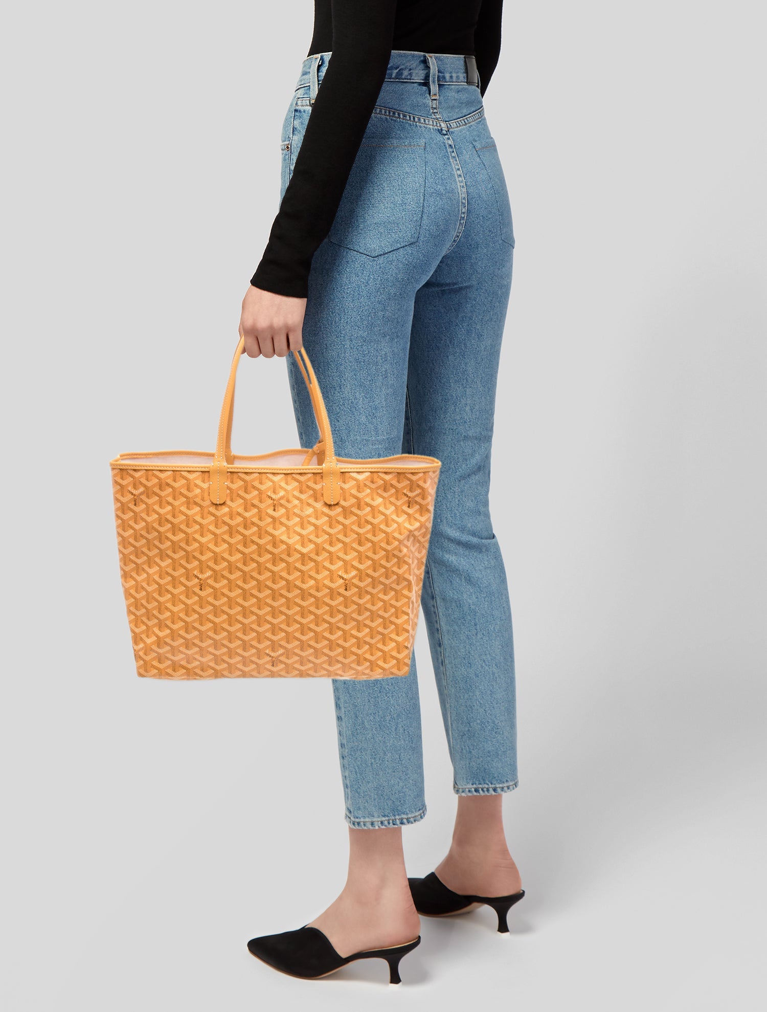 Goyard Goyardine St.Louis PM