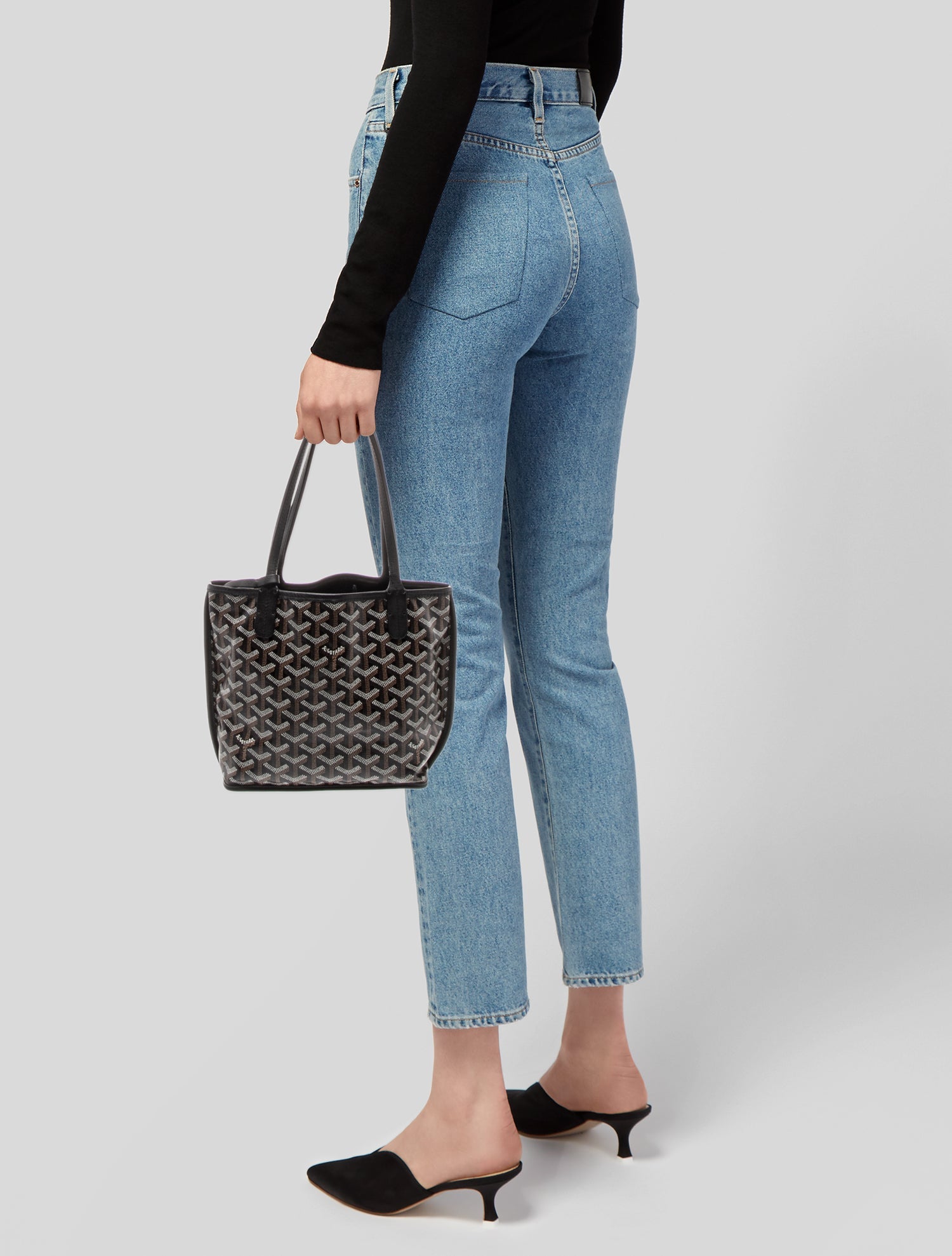 Goyard Goyardine Anjou Mini