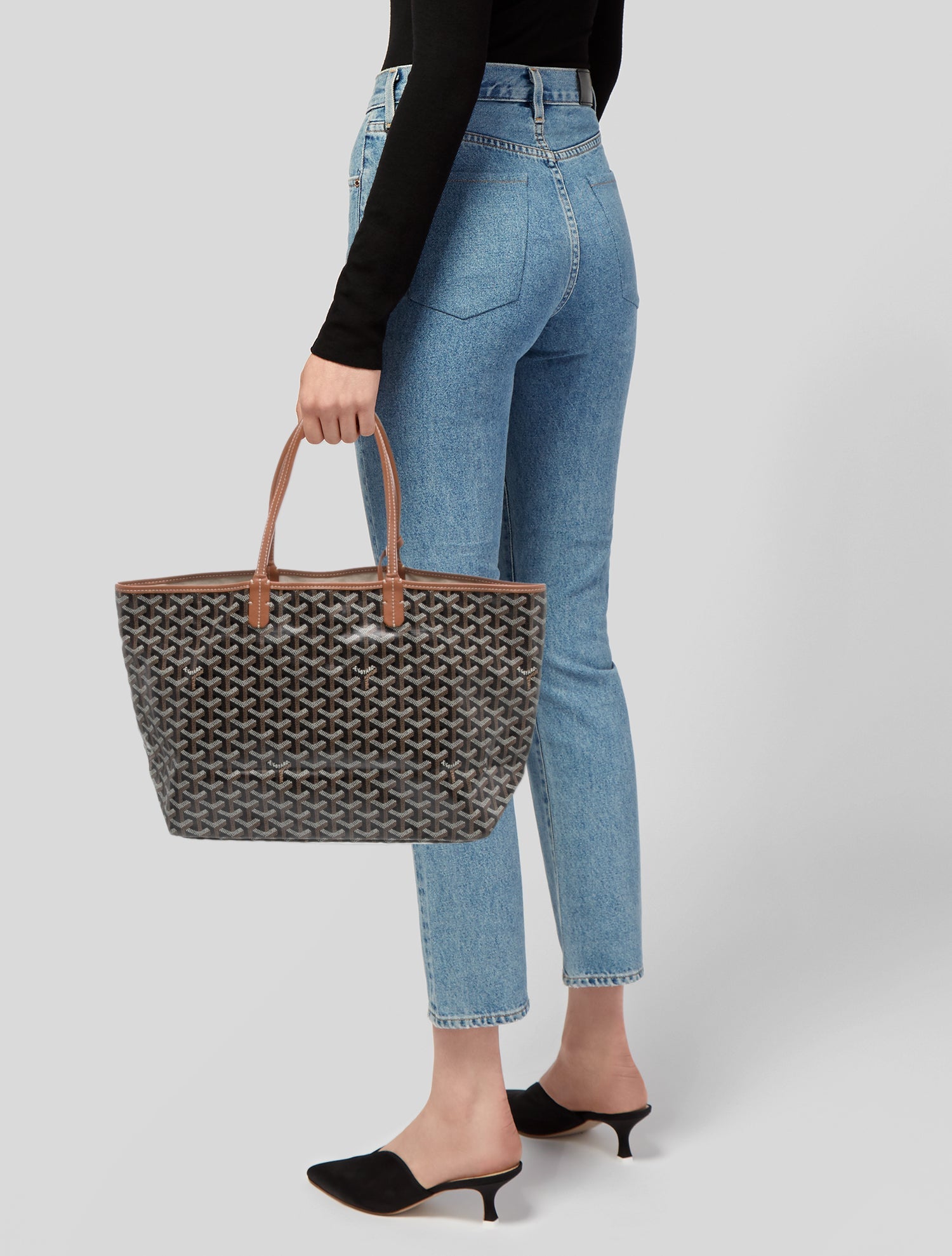 Goyard Goyardine St.Louis PM
