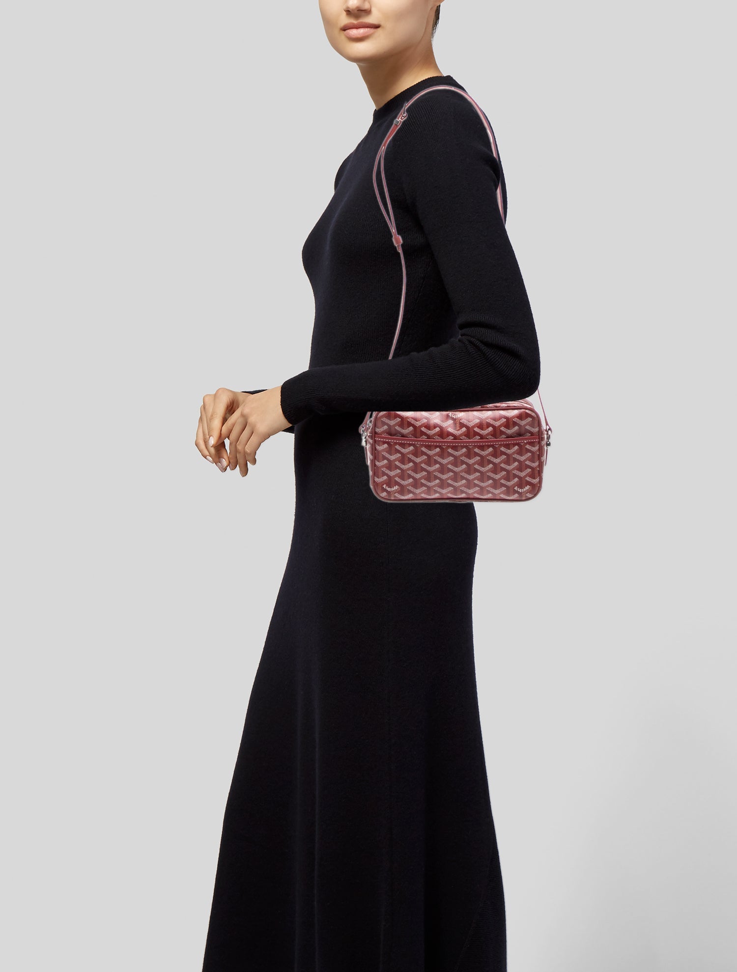 Goyard Goyardine Sac Capvert 2024