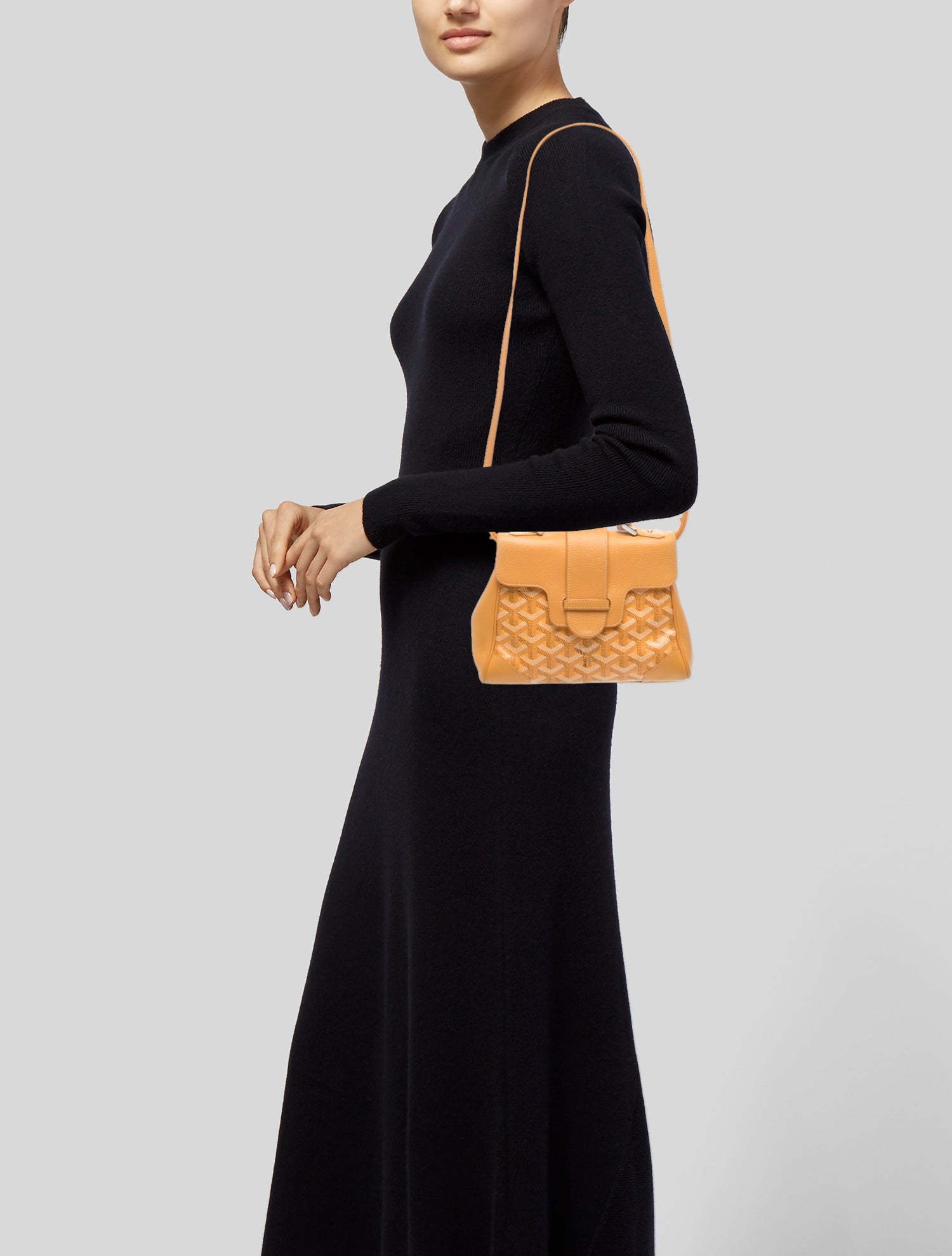 Goyard Goyardine Saigon Mini