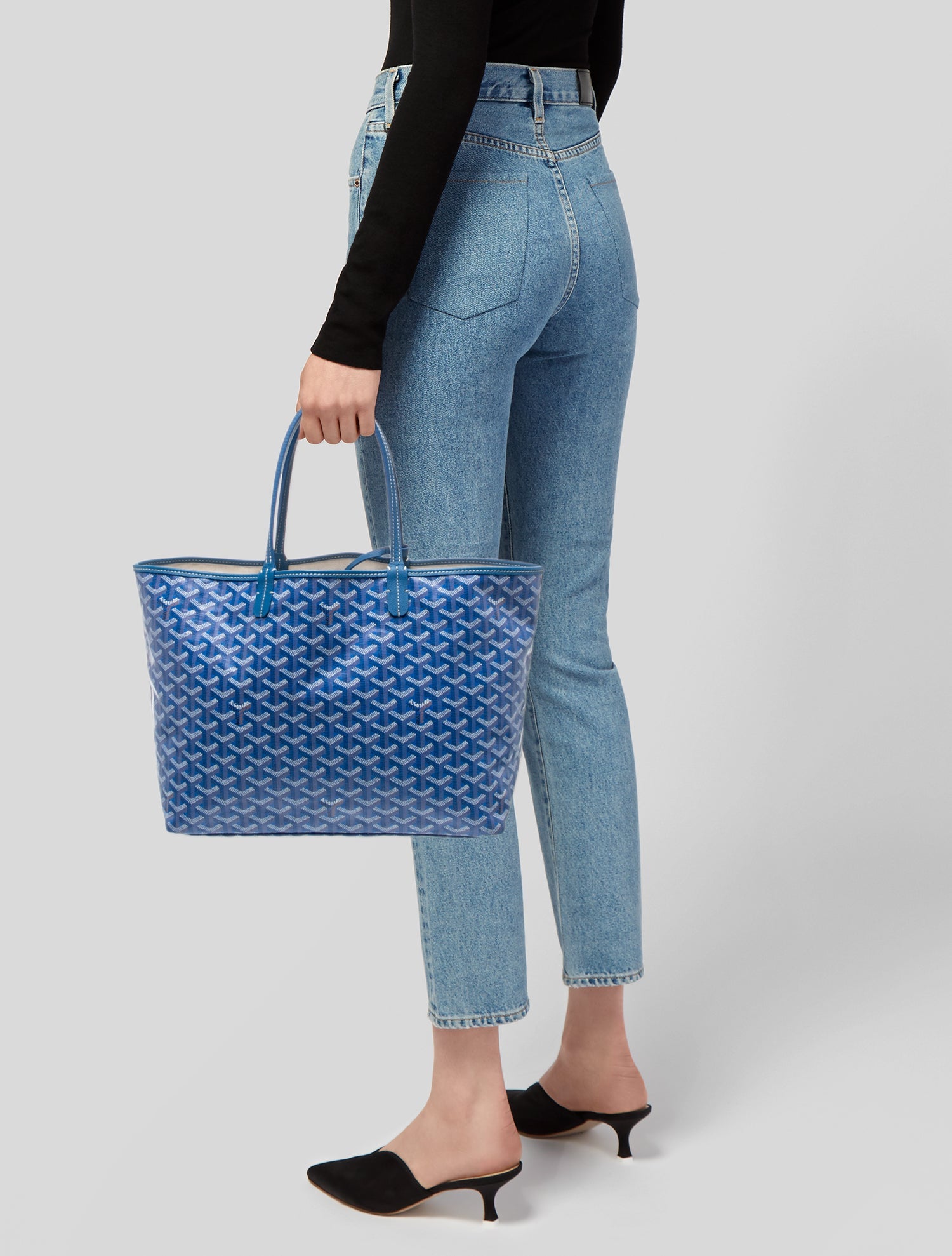 Goyard Goyardine St. Louis PM 2024