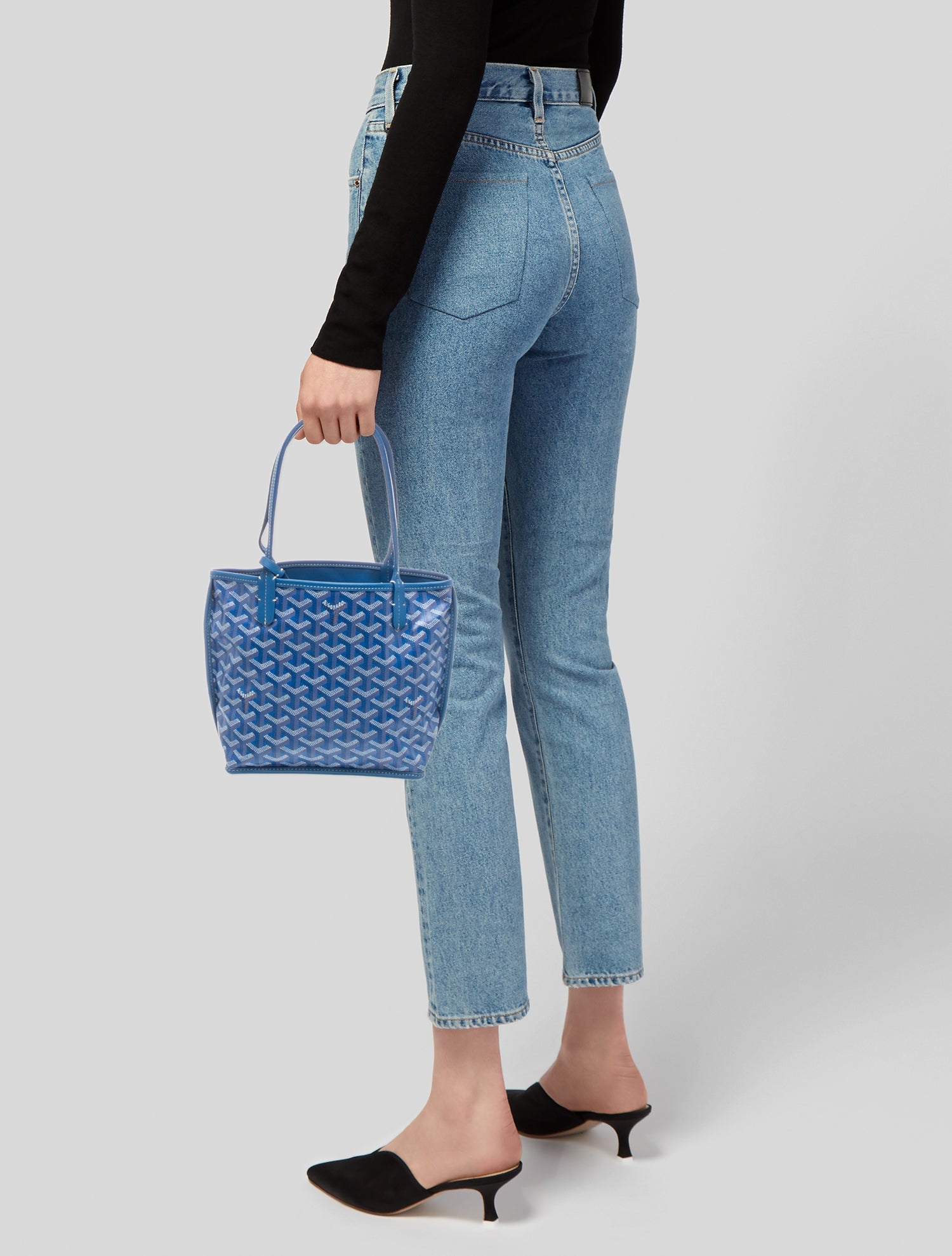 Goyard Goyardine Anjou Mini