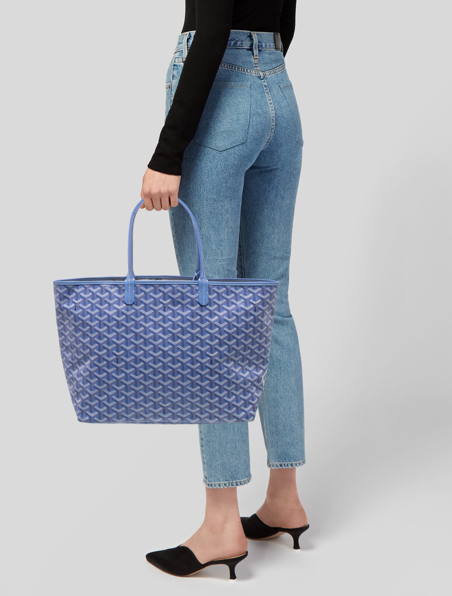 Goyard Goyardine Le Jardin St.Louis PM w/ Tags