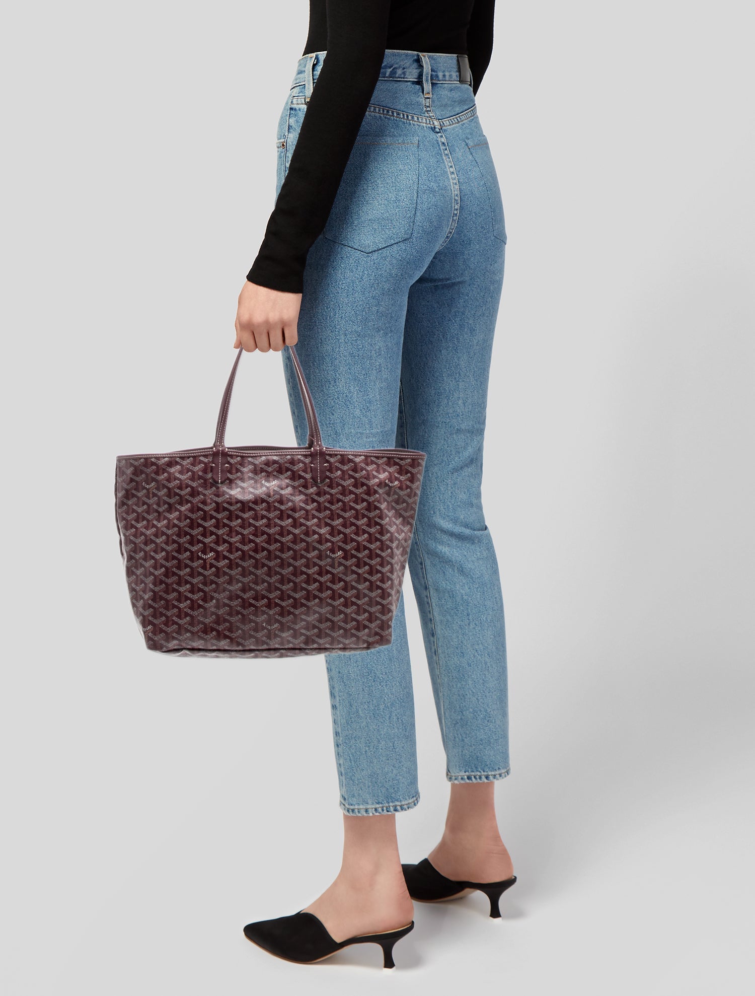 Goyard Goyardine St.Louis PM