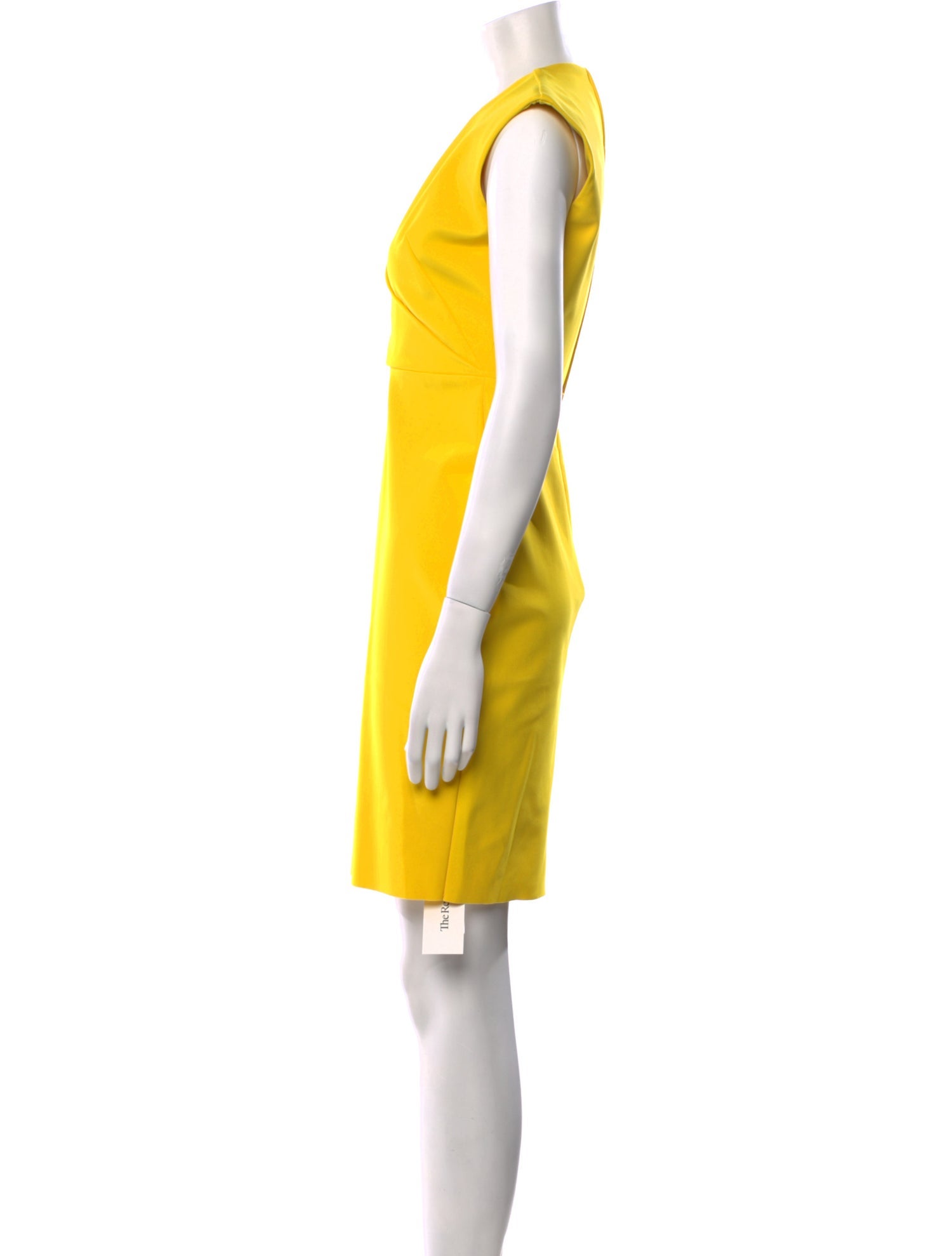 Greta Constantine V-Neck Mini Dress