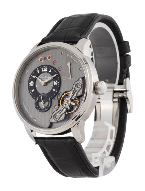 Glashütte Original Panoinverse XL Watch