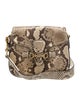 Gucci Python Medium Lady Web Crossbody Bag