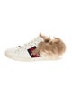 Gucci Sylvie Web Accent Leather Sneakers