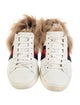Gucci Sylvie Web Accent Leather Sneakers
