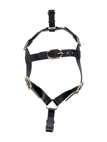 Gucci Pet Accessories Demetra Large Harness