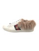 Gucci Sylvie Web Accent Leather Sneakers
