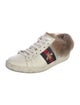 Gucci Sylvie Web Accent Leather Sneakers