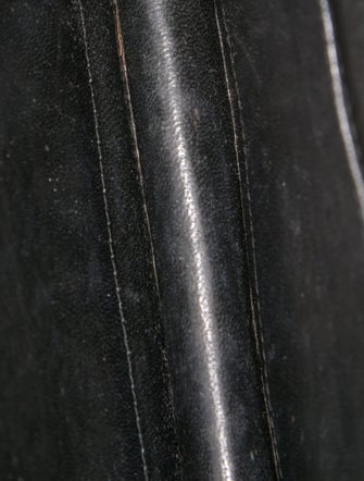 Gucci Lizard Portfolio