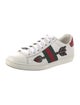 Gucci Web Accent Leather Sneakers