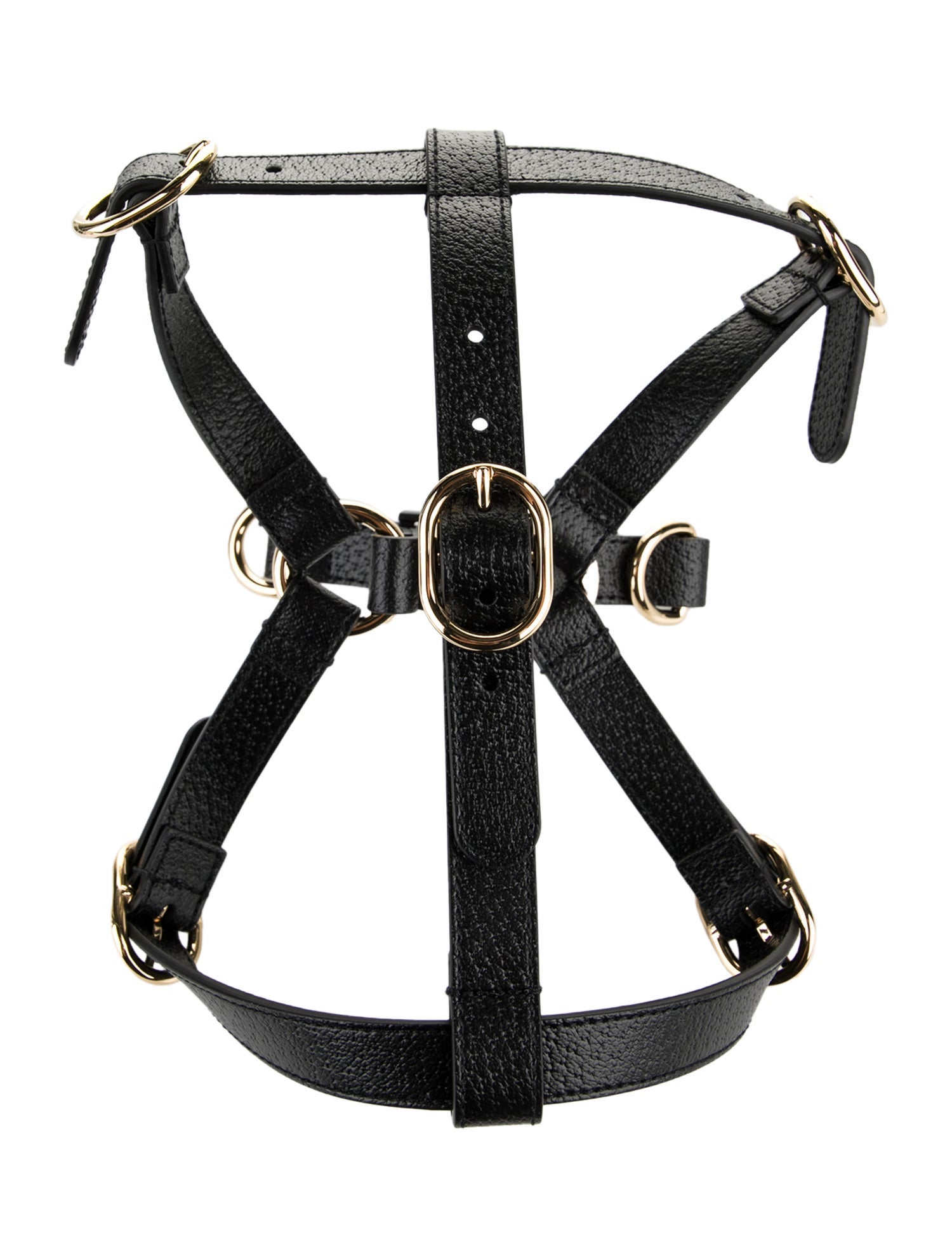 Gucci Demetra Dog Harness