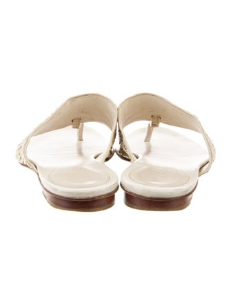 Gucci Python Animal Print Slides