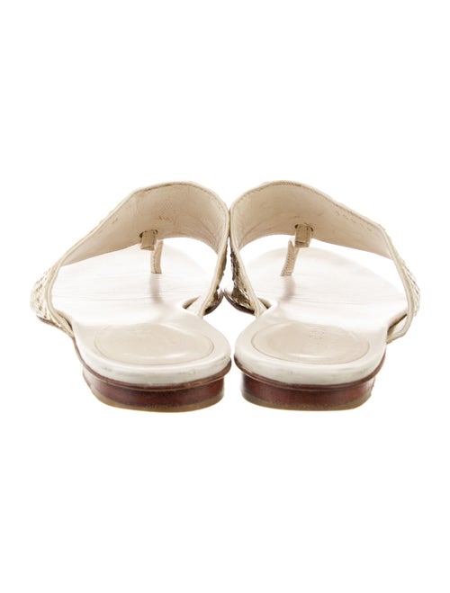 Gucci Python Animal Print Slides