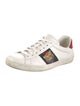 Gucci Web Accent Leather Sneakers