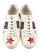 Gucci Web Accent Leather Sneakers