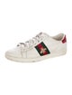 Gucci Web Accent Leather Sneakers