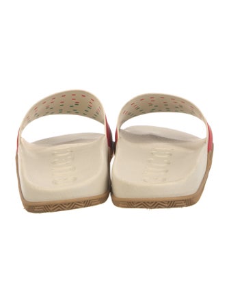 Gucci Web Accent Rubber Slides