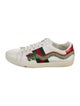 Gucci Web Accent Leather Sneakers