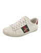 Gucci Web Accent Leather Sneakers