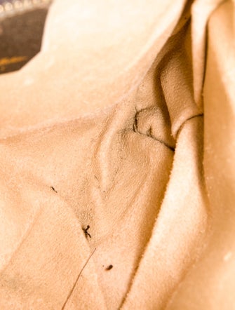 Gucci GG Plus Ophidia