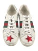 Gucci Web Accent Leather Sneakers